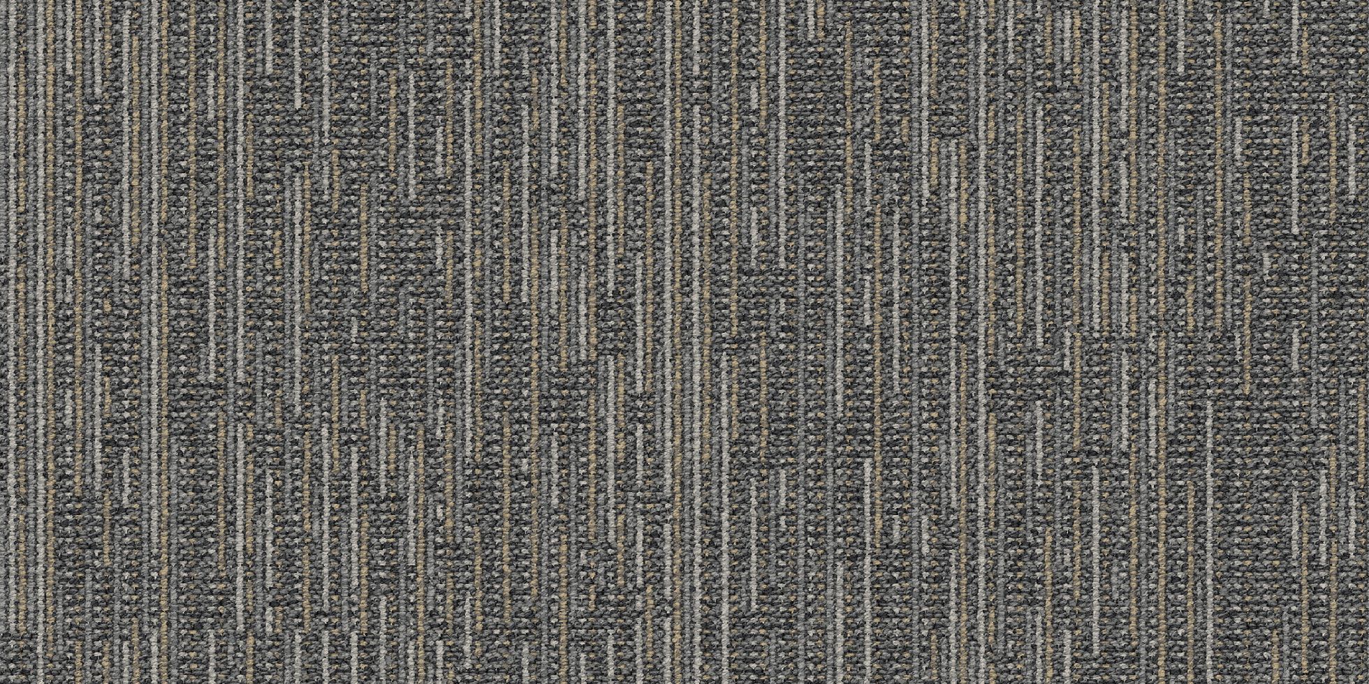 Coin-op II_6ACIT6_Cooldown_4000