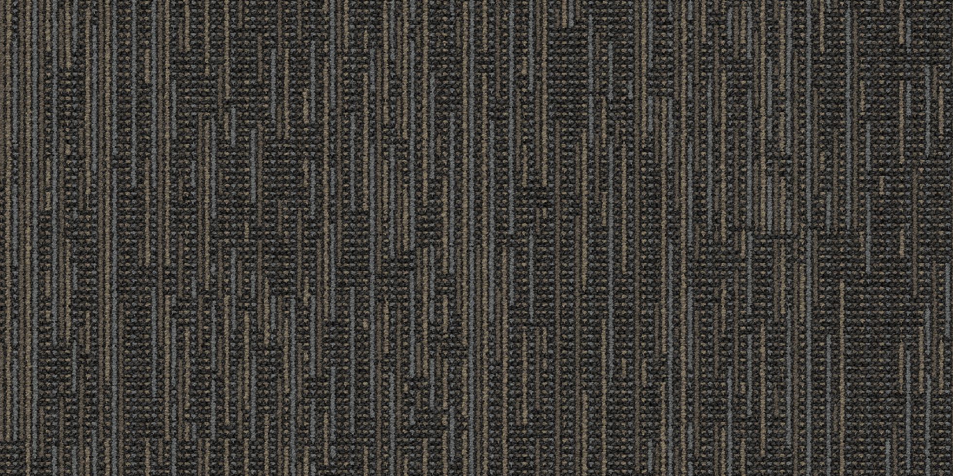 Coin-op II_6ACIT6_Ping_400058.i