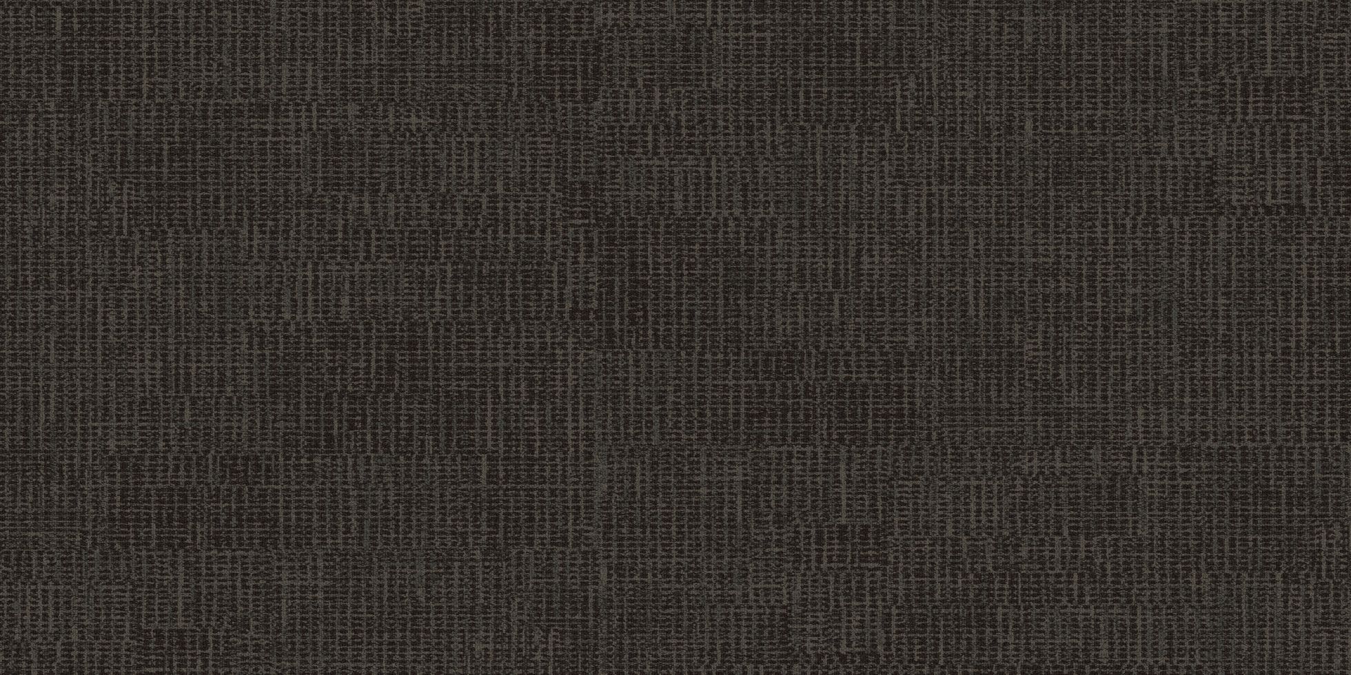 Look Sharp_6ALS20_Provocative_4