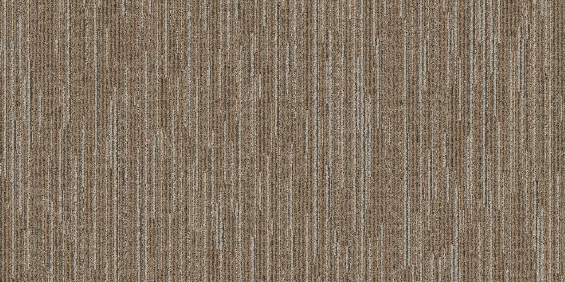 Shapeshifter II_6ASET4_Reshape_