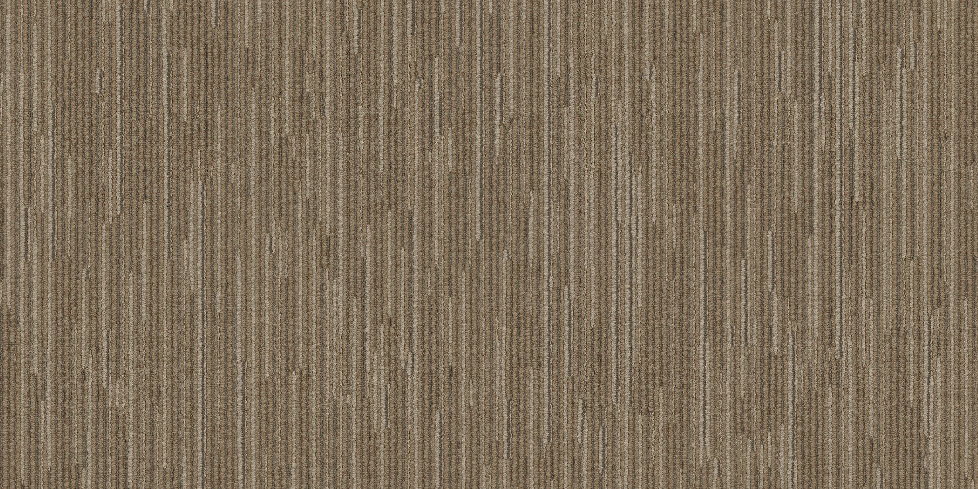 Shapeshifter II_6ASET4_Analogy_