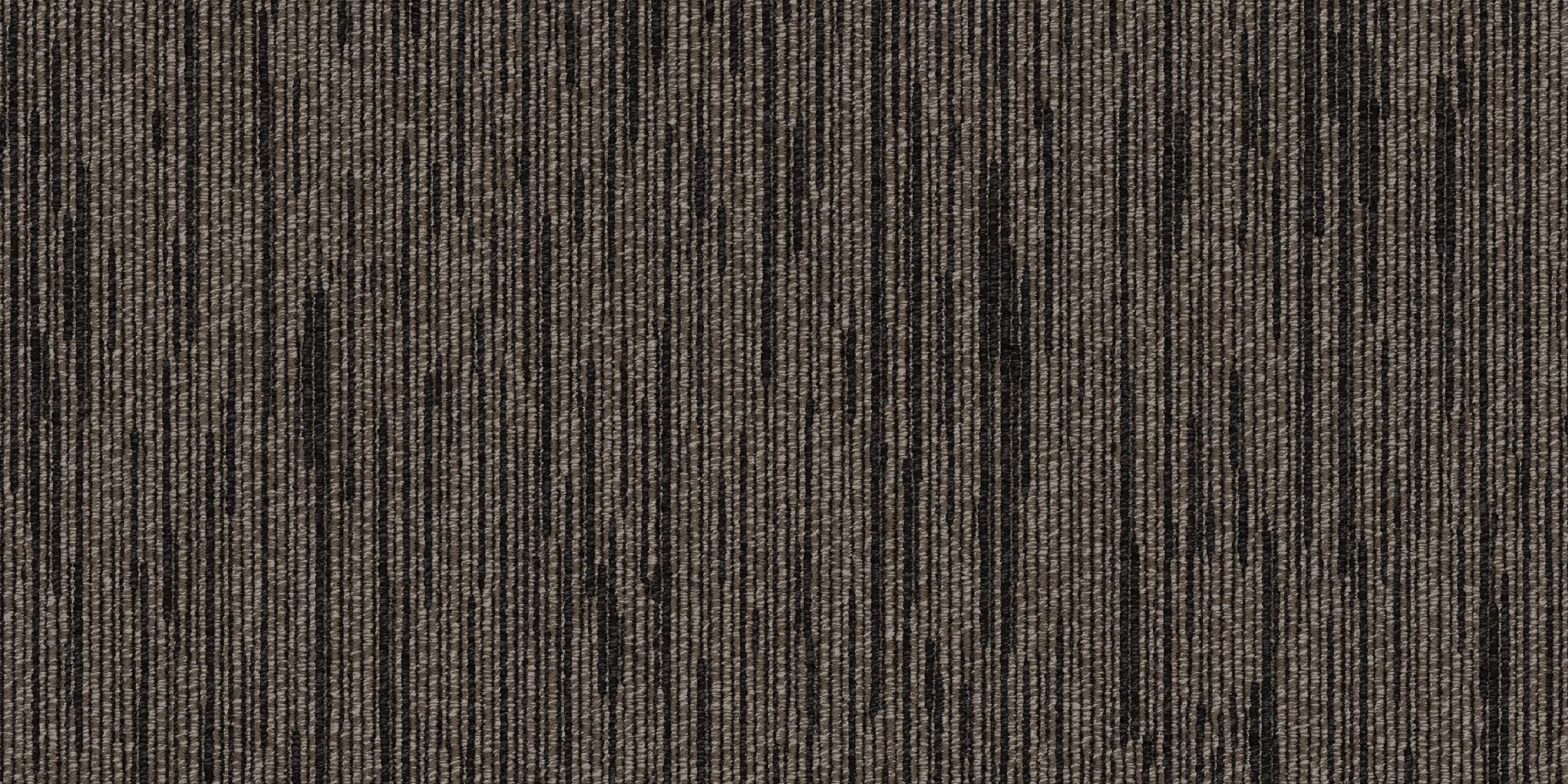 Shapeshifter II_6ASET4_Switch_4