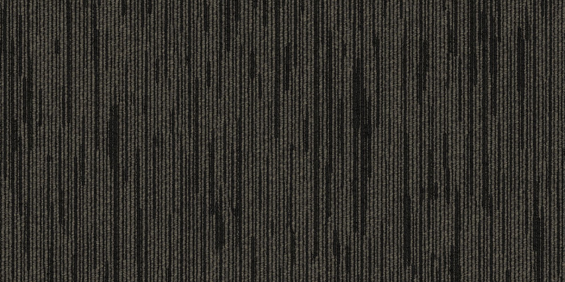 Shapeshifter II_6ASET4_Ravamp_4