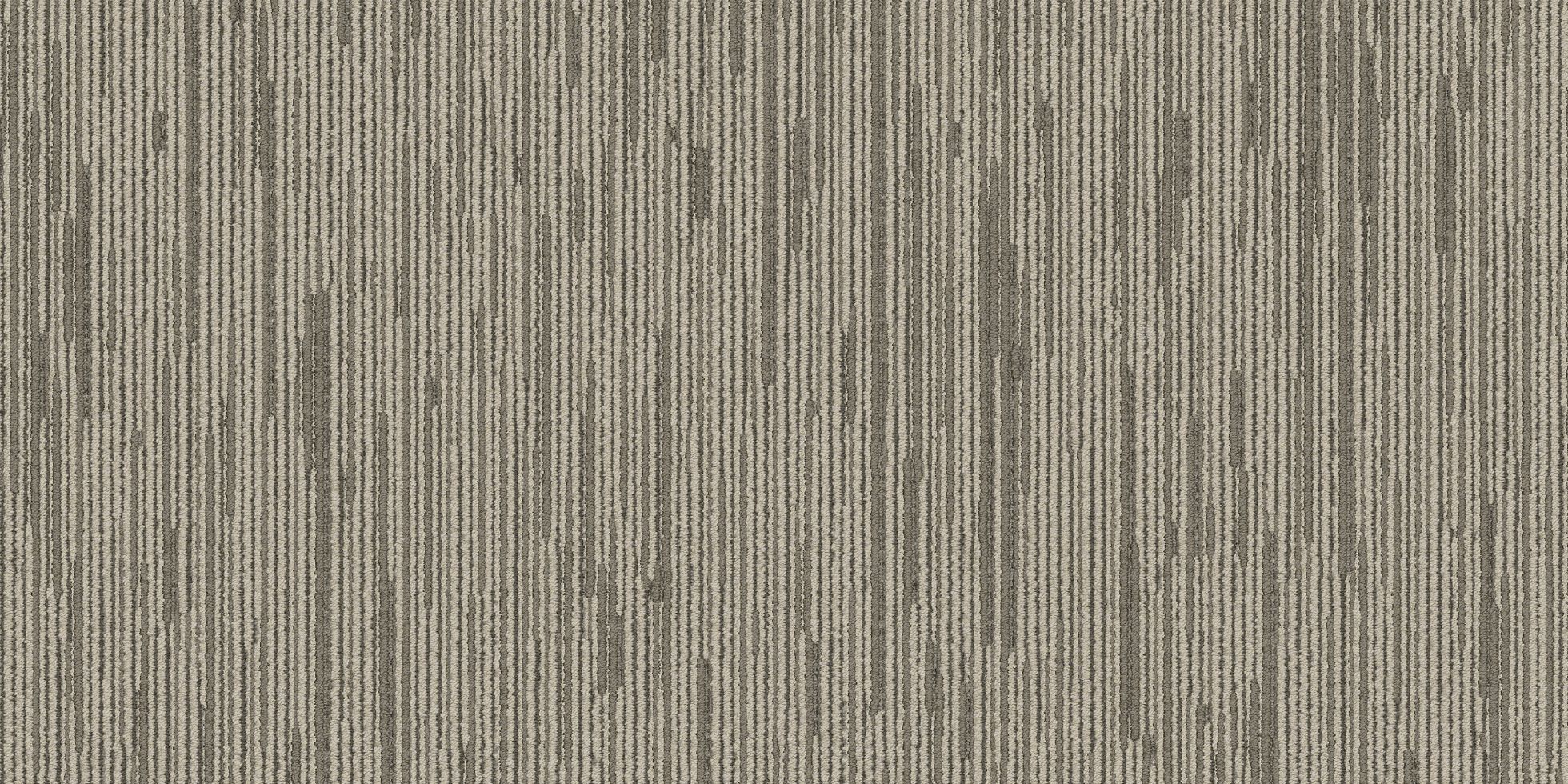 Shapeshifter II_6ASET4_Copies_4