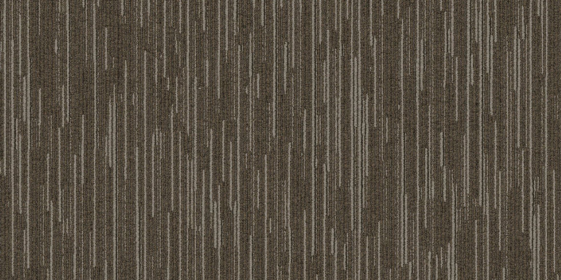 Shapeshifter II_6ASET4_Proxy_40