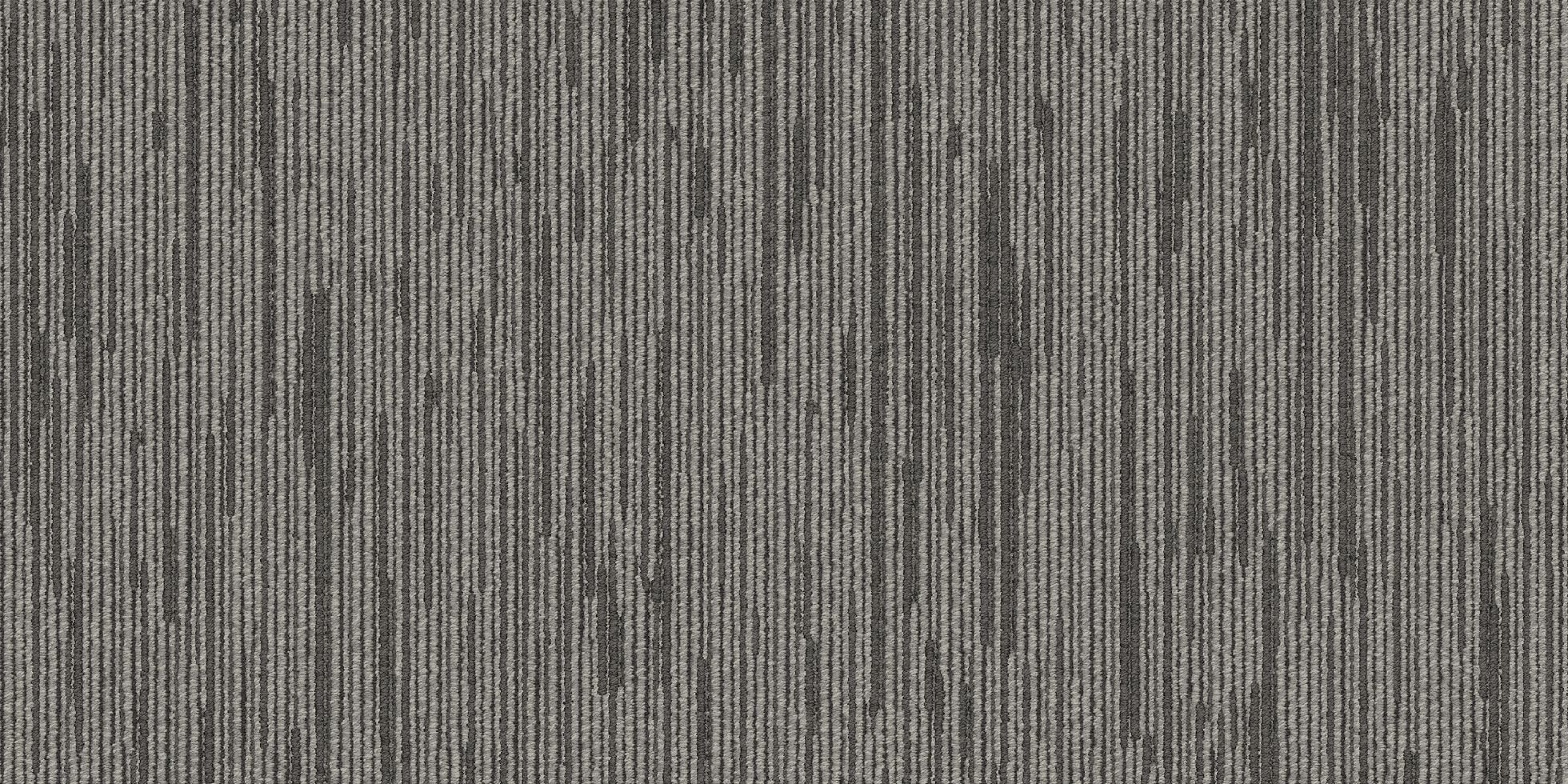 Shapeshifter II_6ASET4_Double T