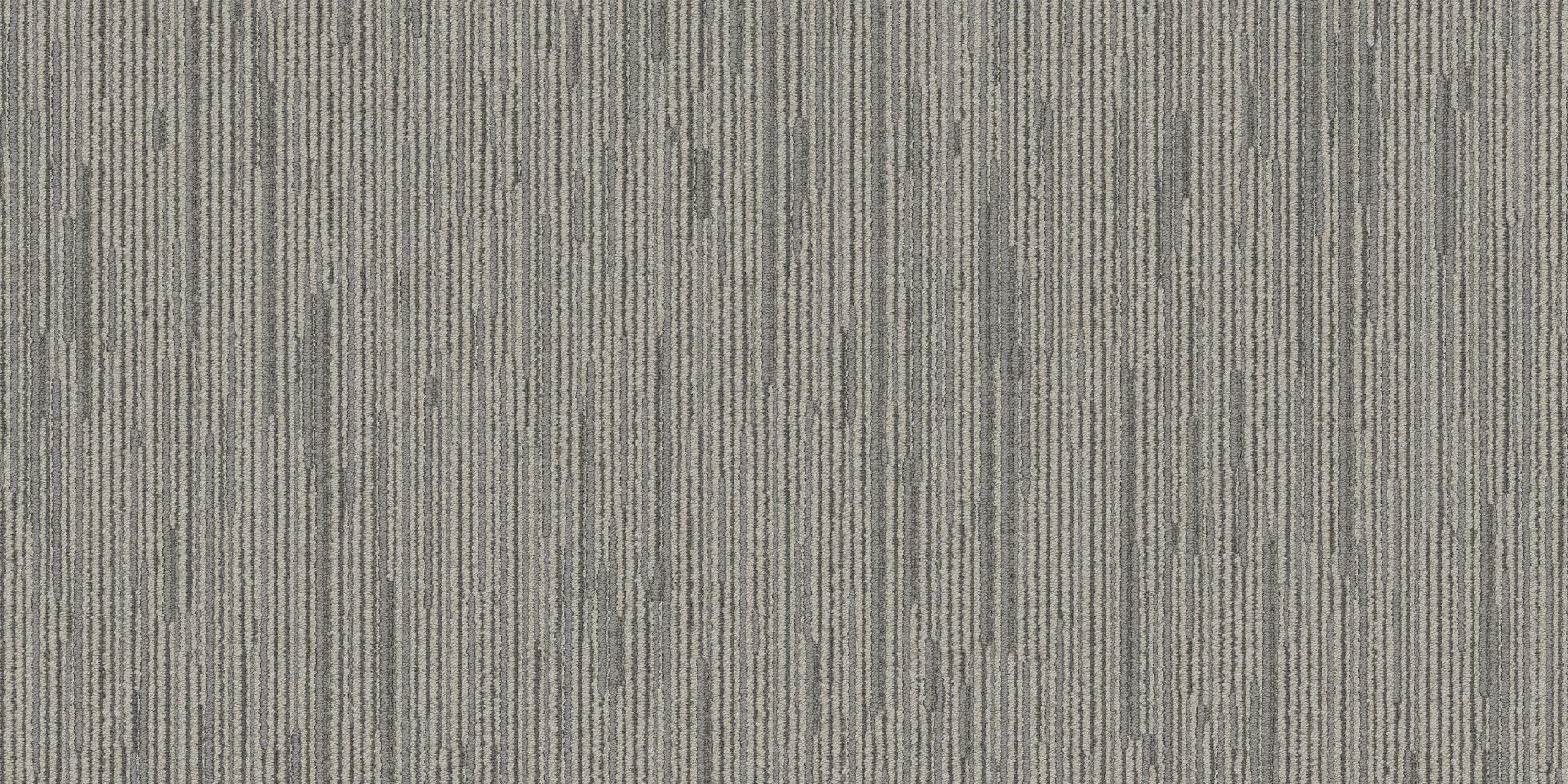 Shapeshifter II_6ASET4_Sublimat