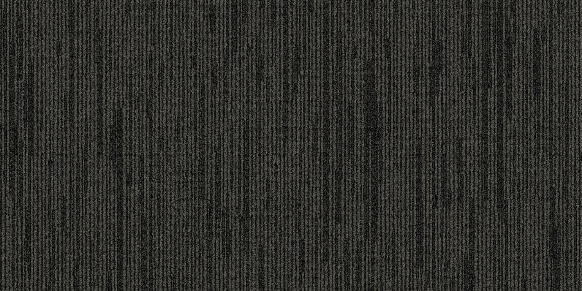 Shapeshifter II_6ASET4_Changlei