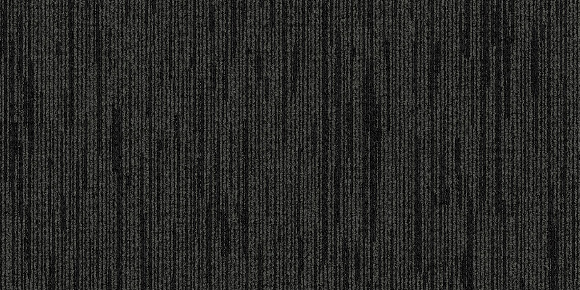 Shapeshifter II_6ASET4_Wereform