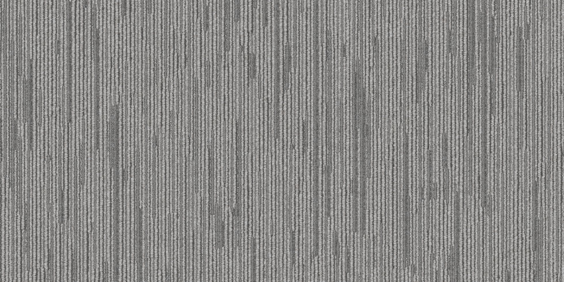 Shapeshifter II_6ASET4_Restated