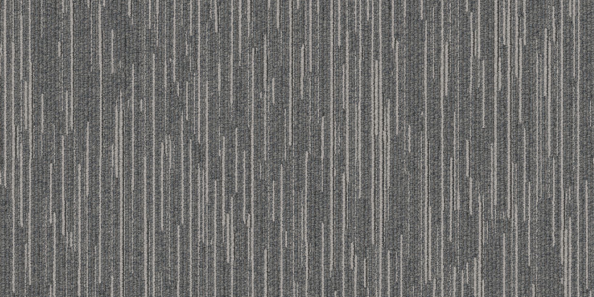 Shapeshifter II_6ASET4_Meta Mor