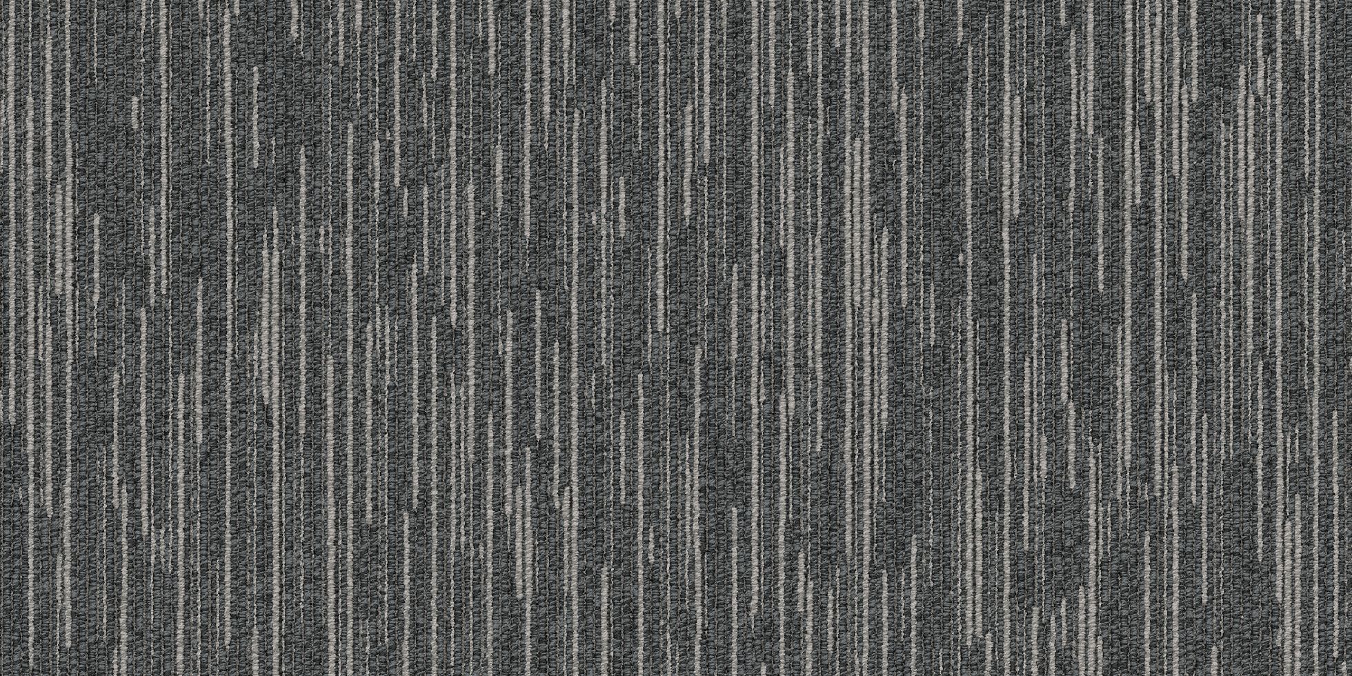 Shapeshifter II_6ASET4_Alter_40