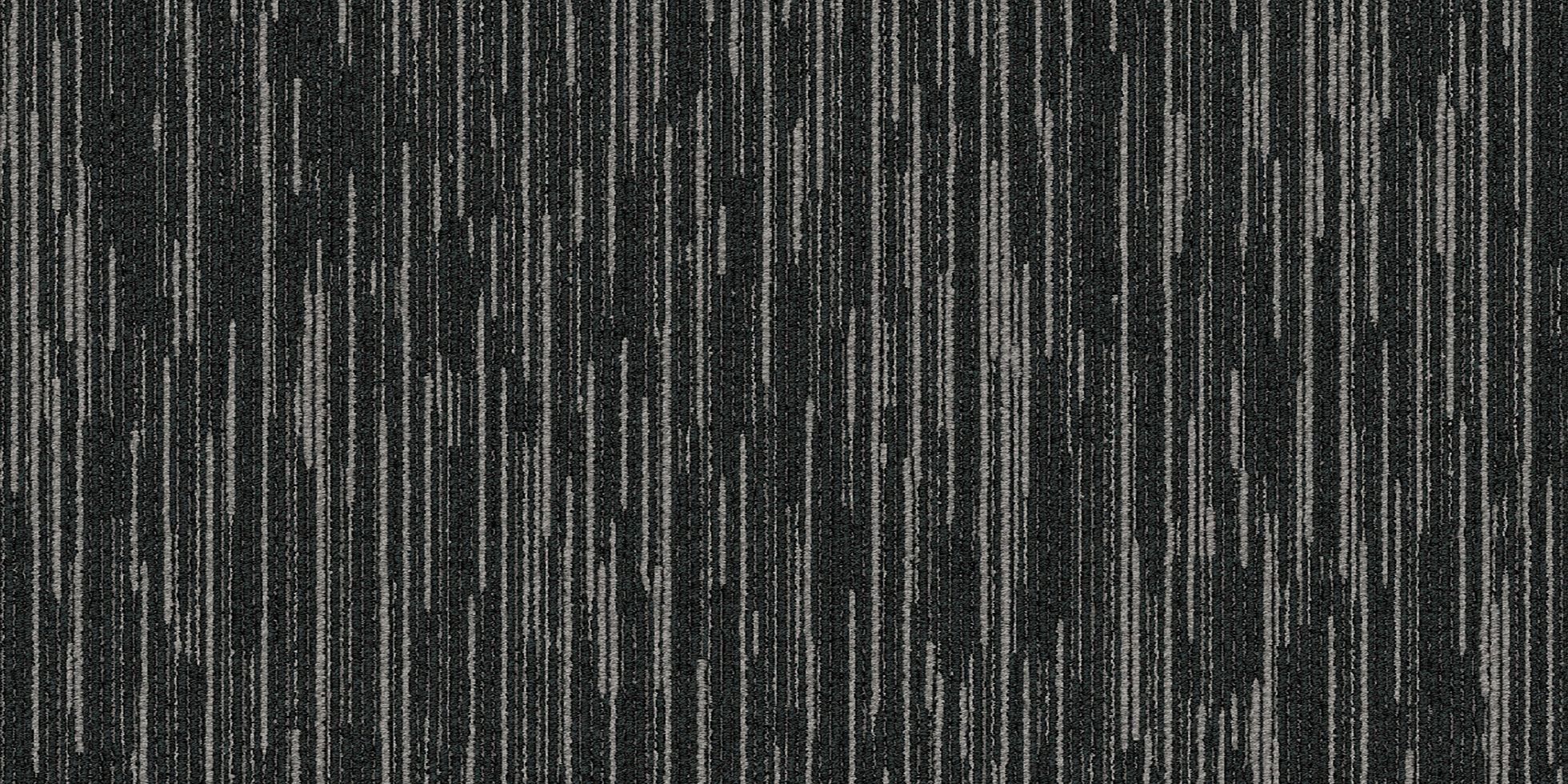 Shapeshifter II_6ASET4_Variatio