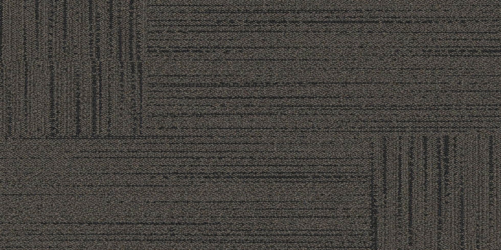 Trained Eye_6ATE24_Murmur_40008