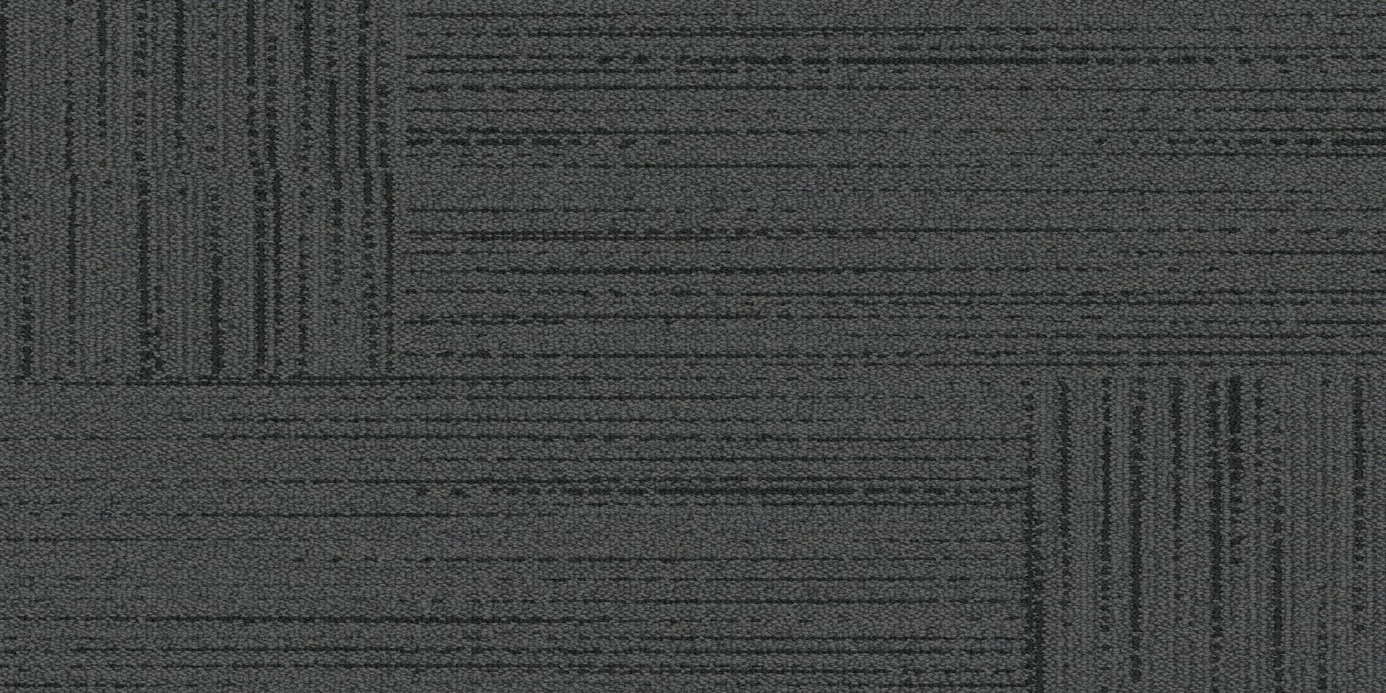 Trained Eye_6ATE24_Impressions_