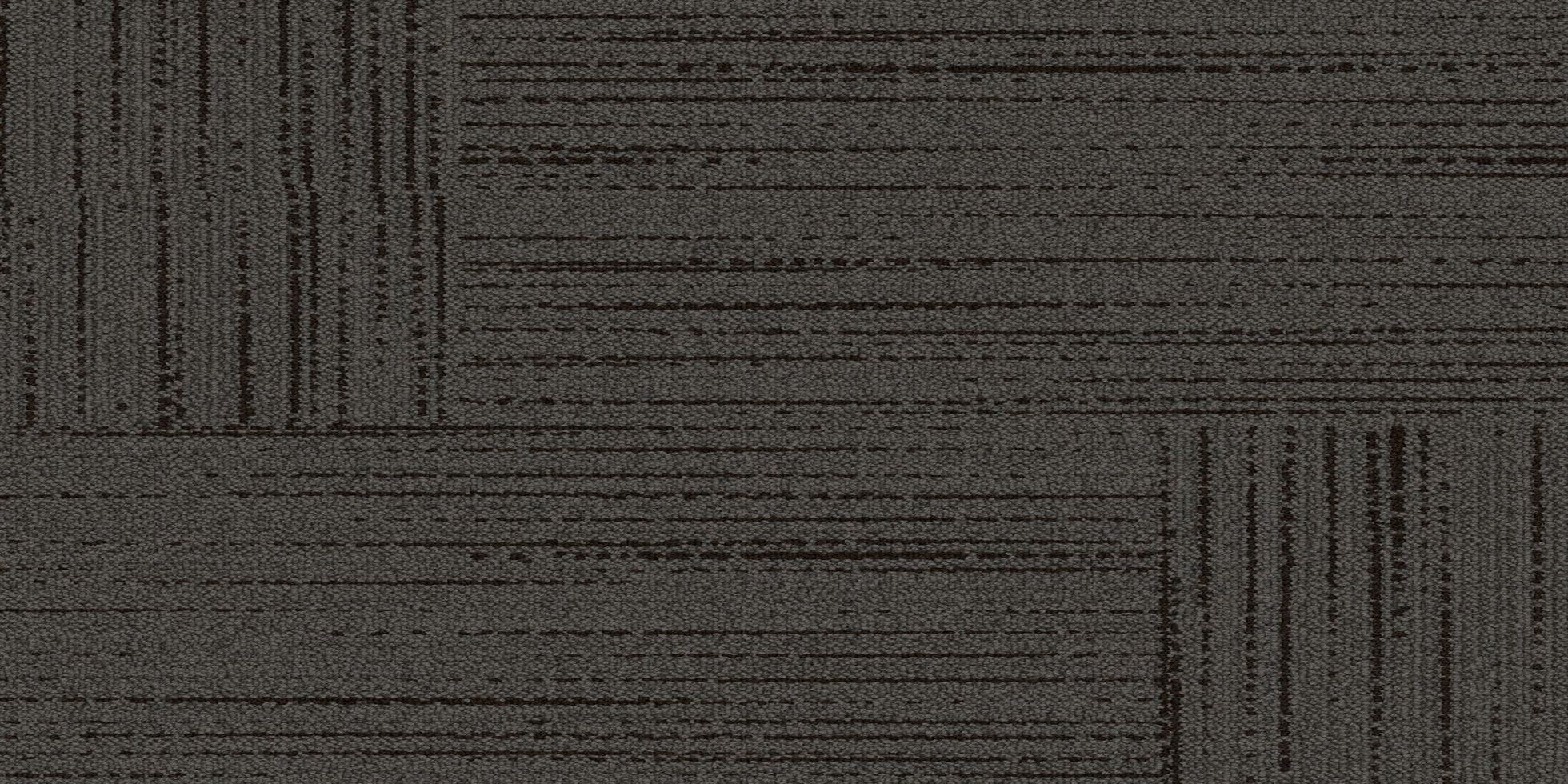 Trained Eye_6ATE24_Provocative_