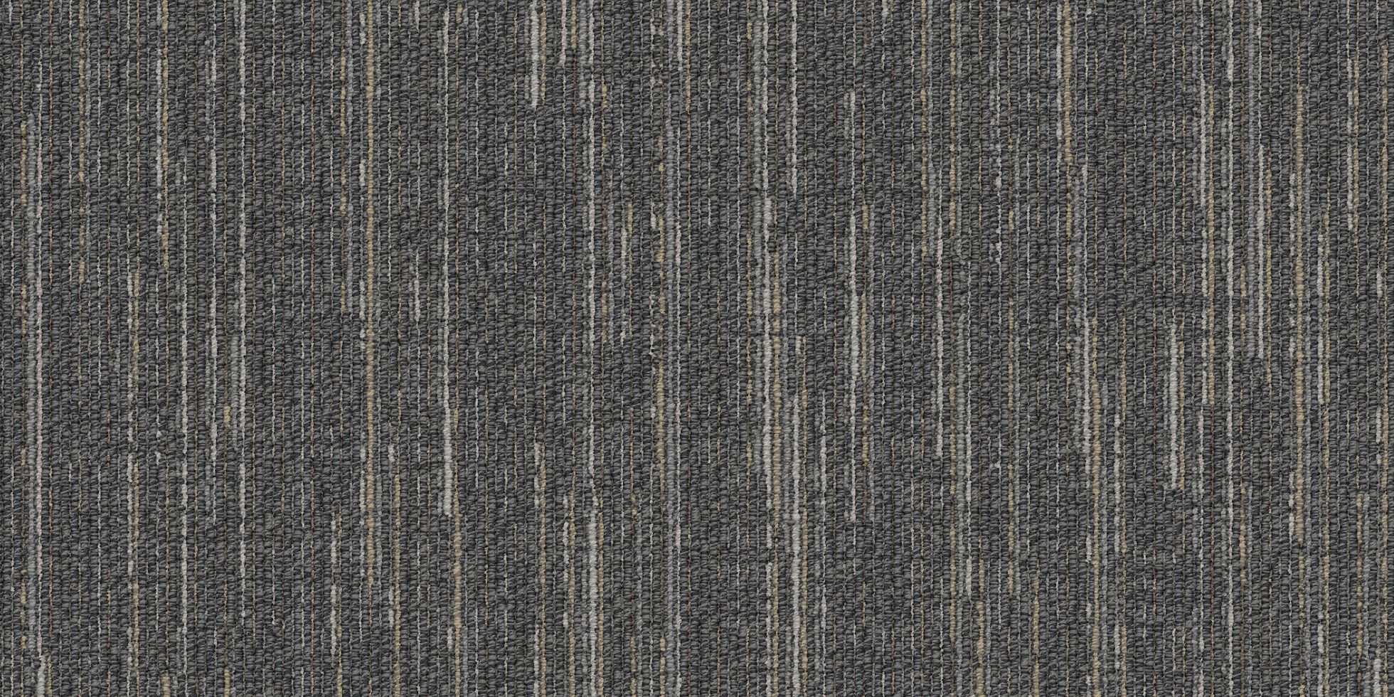 Victory Lap_4VLT2_Aced It_40084