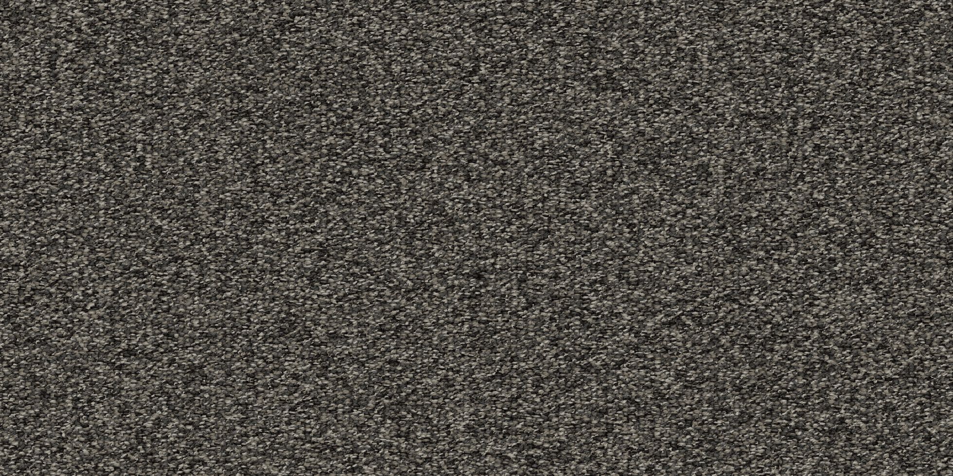 Strictly Business_8YB24_Sable_9